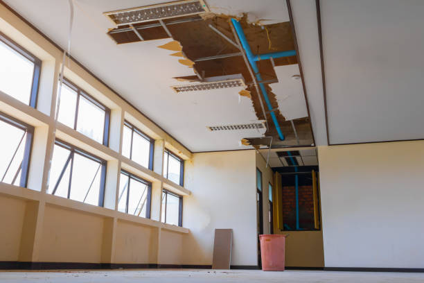 Best Emergency water damage restoration  in Mazon, IL