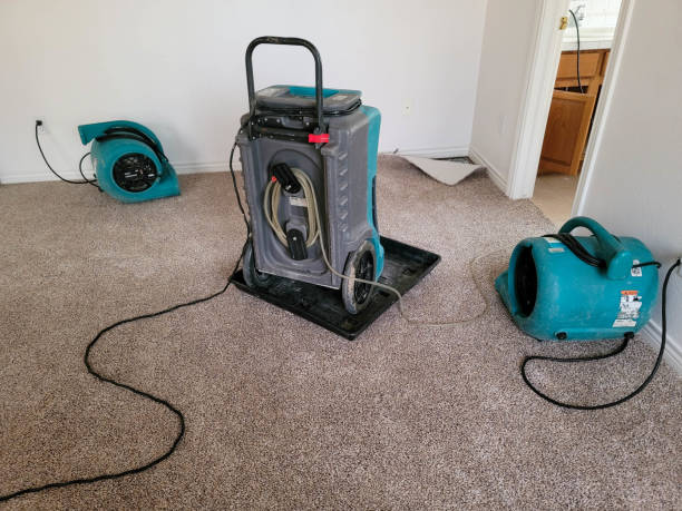 Fire Damage Restoration in Mazon, IL