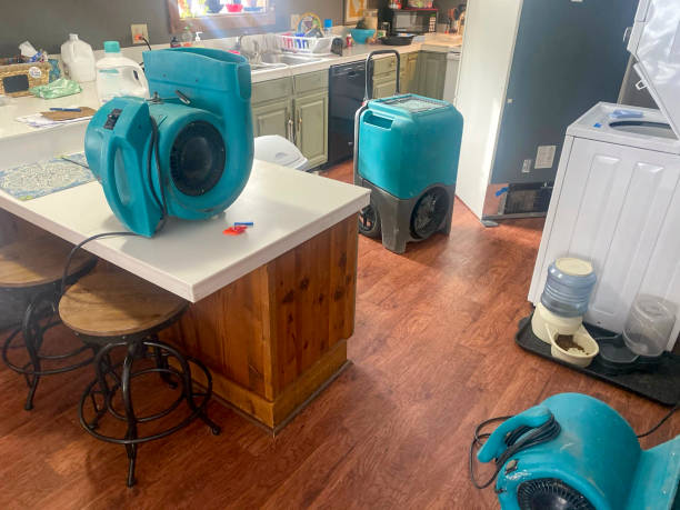 Professional Water damage restoration in Mazon, IL