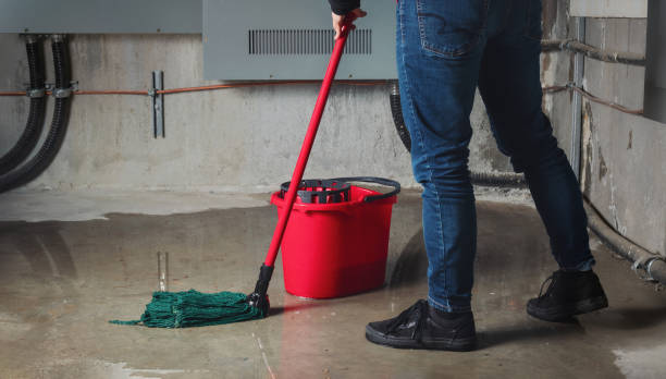 Best Water damage cleanup near me  in Mazon, IL