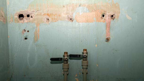 Best 24/7 water damage repair  in Mazon, IL