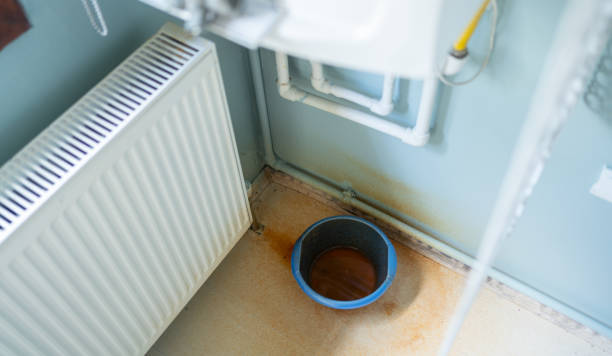 Best Residential water damage restoration  in Mazon, IL